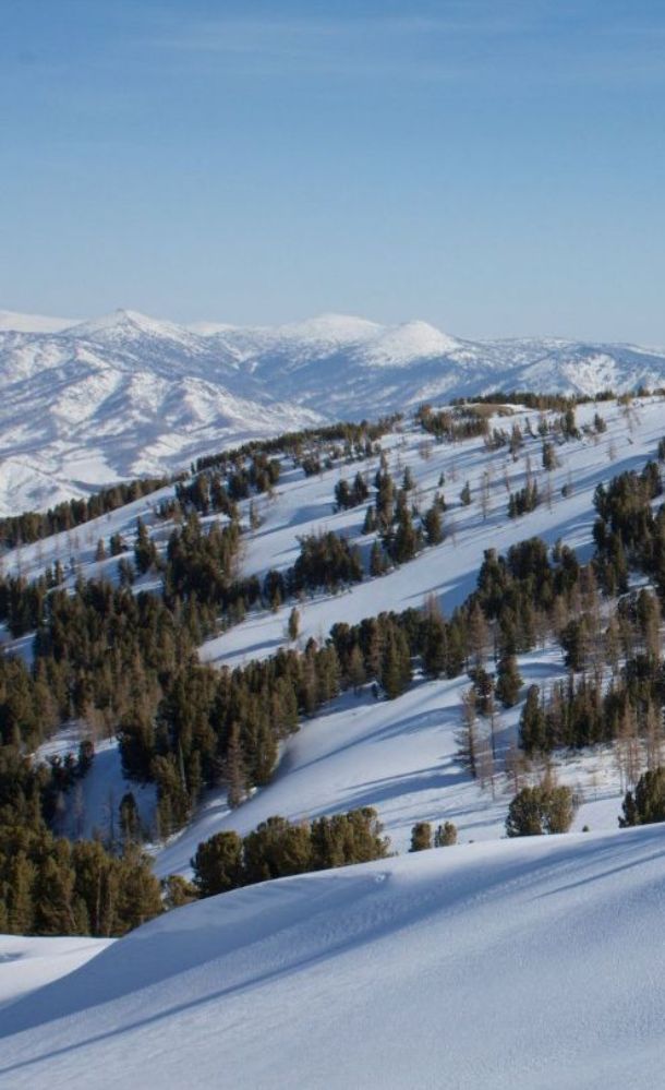 Ивановский хребет, Риддер