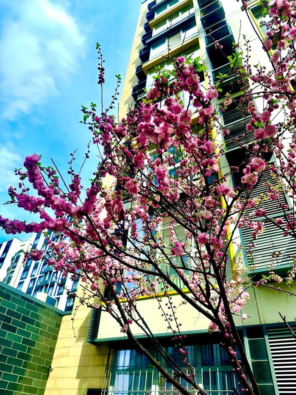 Таможенное оформление