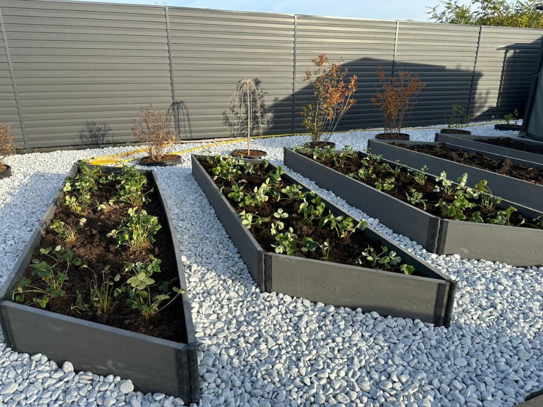 Эстетичный огород из высоких грядок 30 см в ландшафтном дизайне