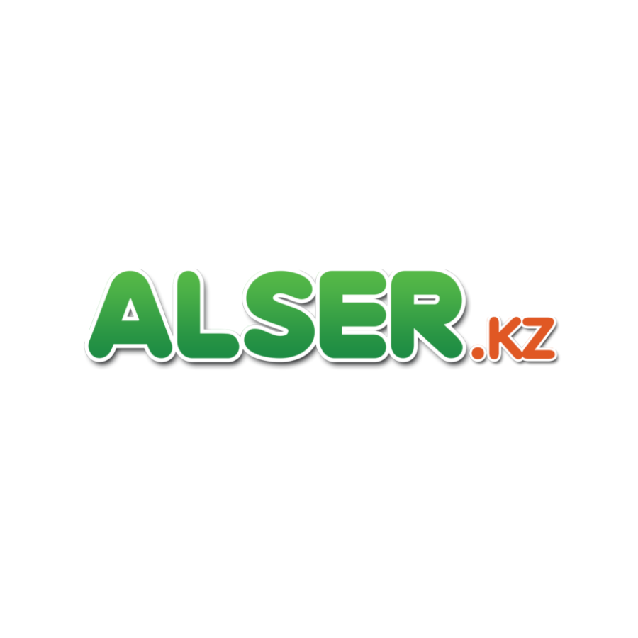 Алсер Алматы Интернет Магазин