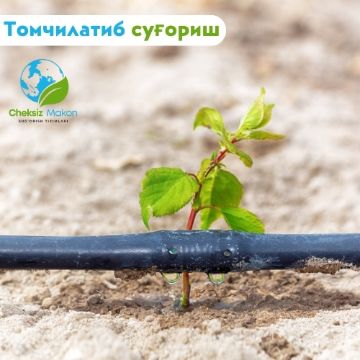 Капельное орошение