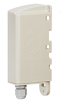 Андрей Зырянов и Денис Федоров