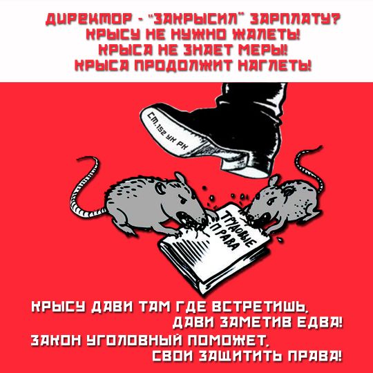 финансовая пирамида LIDER